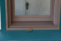 一枚の落葉から始まる長い物語