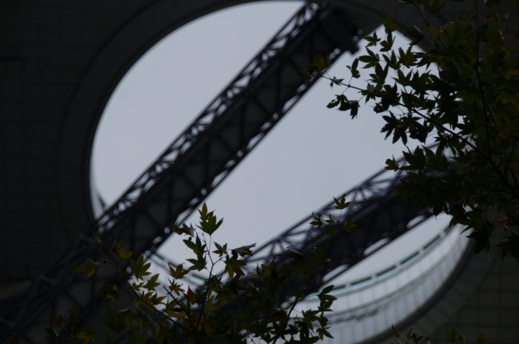 天空の窓