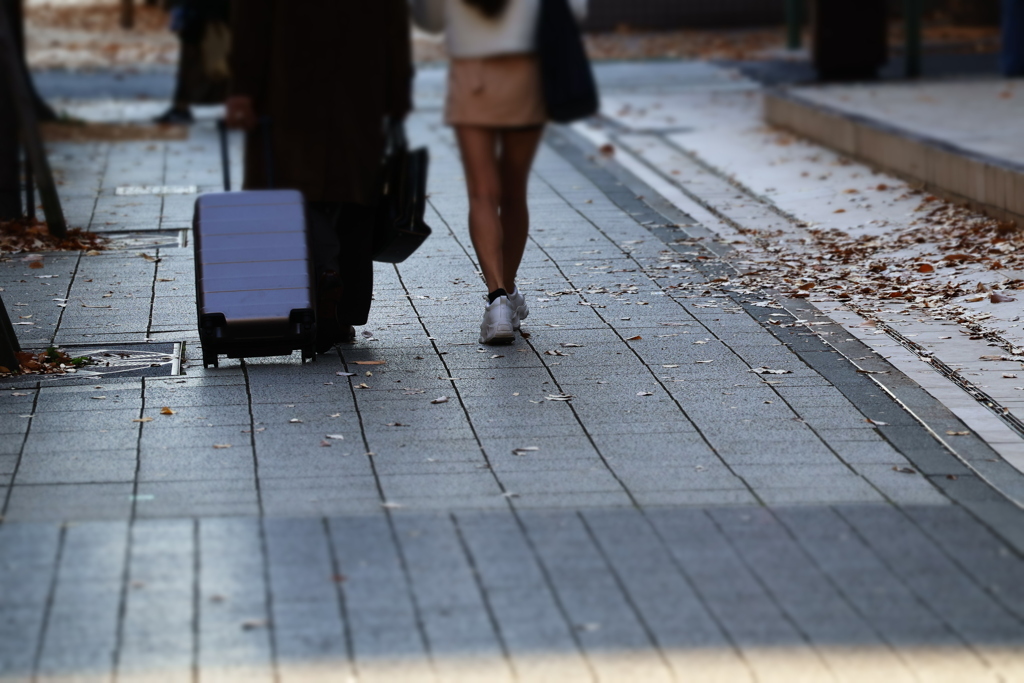 次の北国行きで