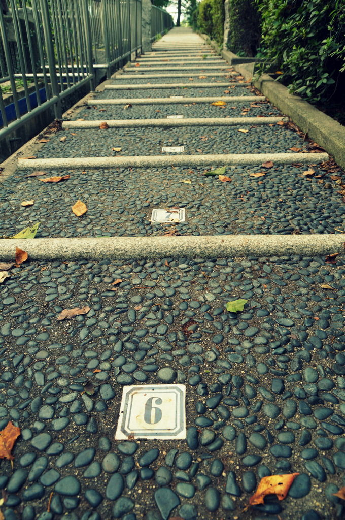 秋に続く小路