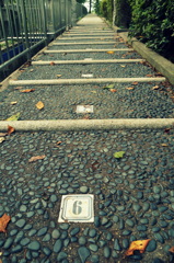 秋に続く小路