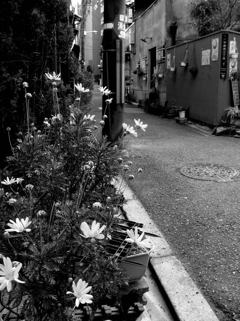 N町 #4