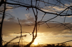 2018 初めの一枚