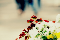 通り過ぎてゆくとき