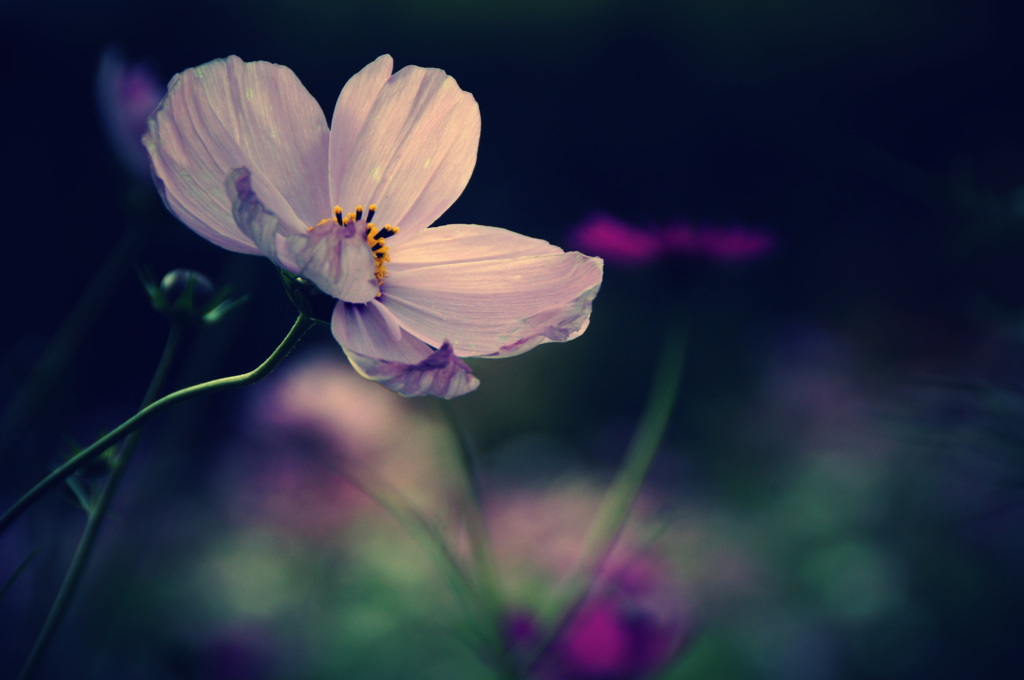 さよならを言う前に