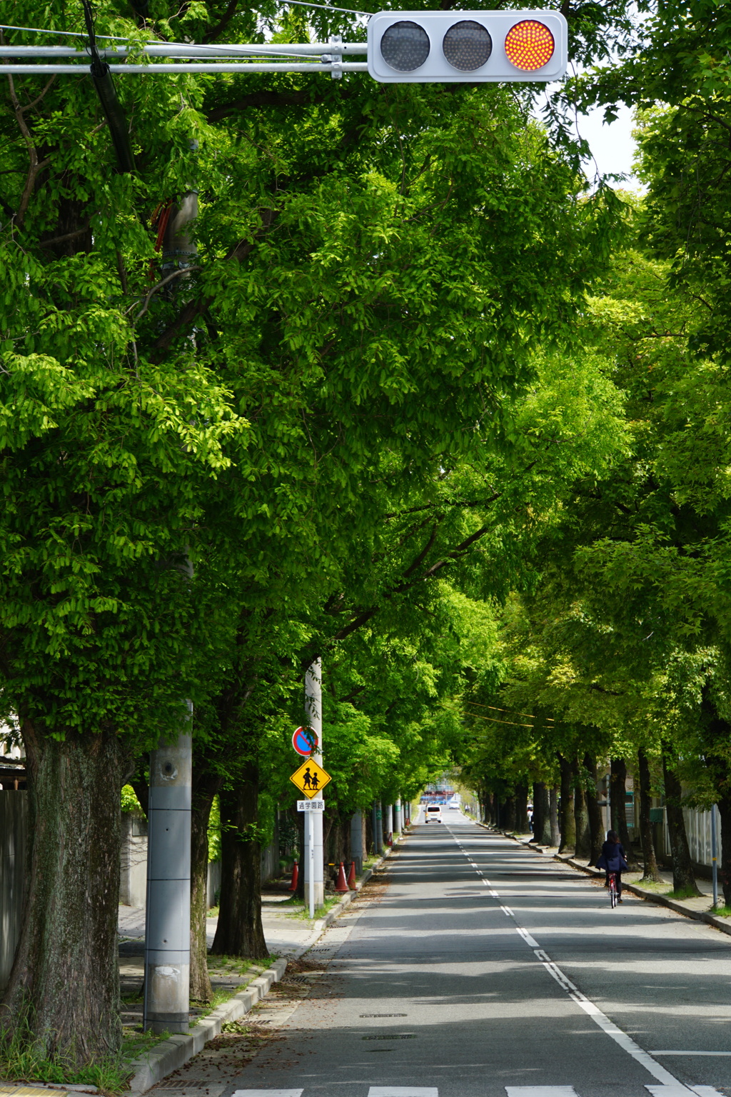 新しい季節の入口
