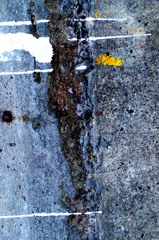 具象による抽象