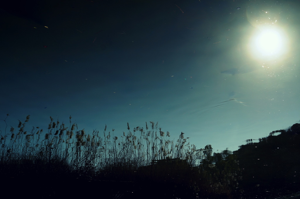 空に海があった頃