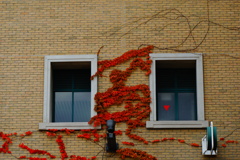 紅蓮の炎
