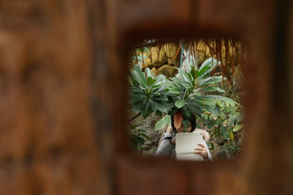 見つめる眼差し