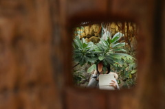 見つめる眼差し