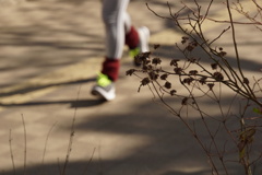 Winter Running