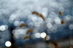 autumn wind
