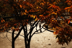 二人のシーズン