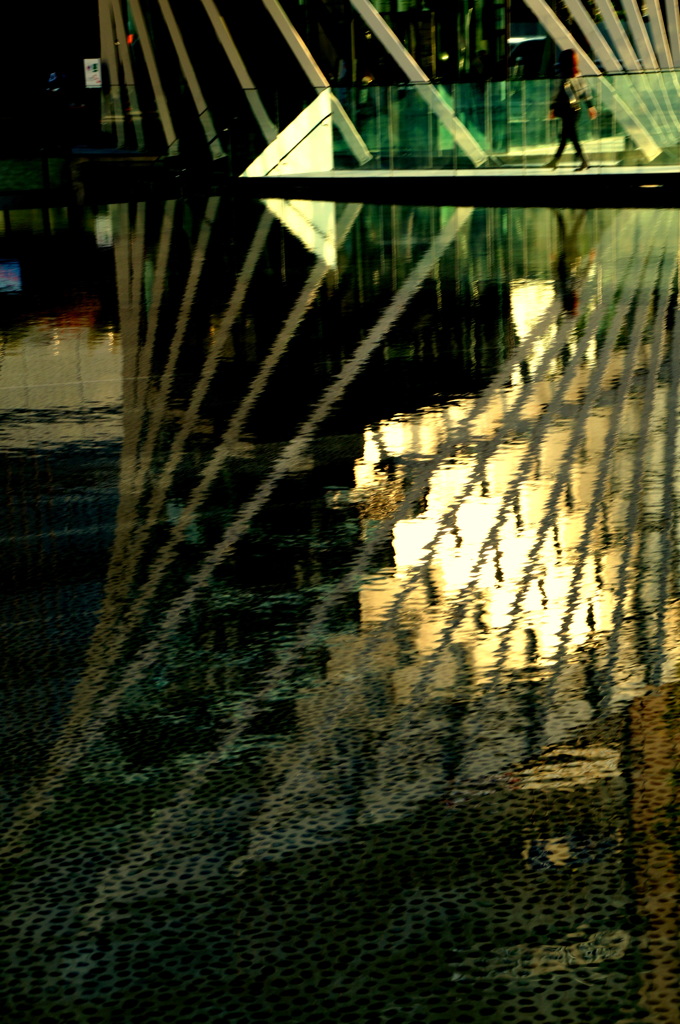 映し絵の水辺
