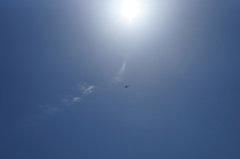Summer Sky