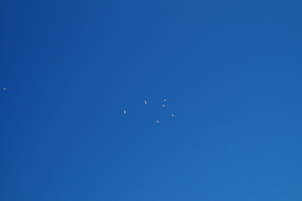 In The Blue