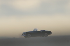 in the morning light