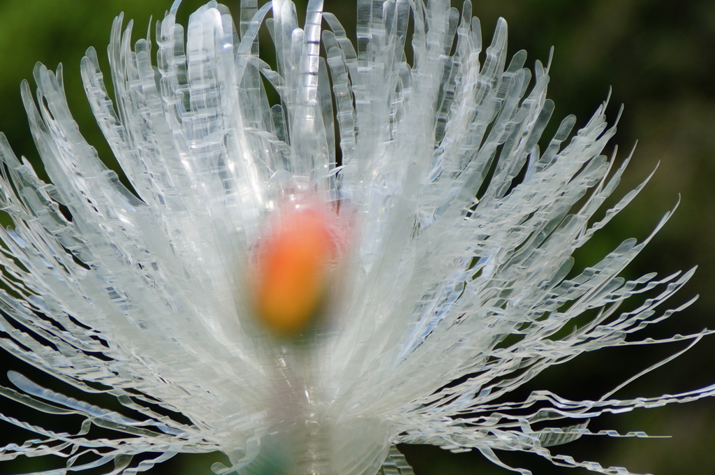 Chemical Flower