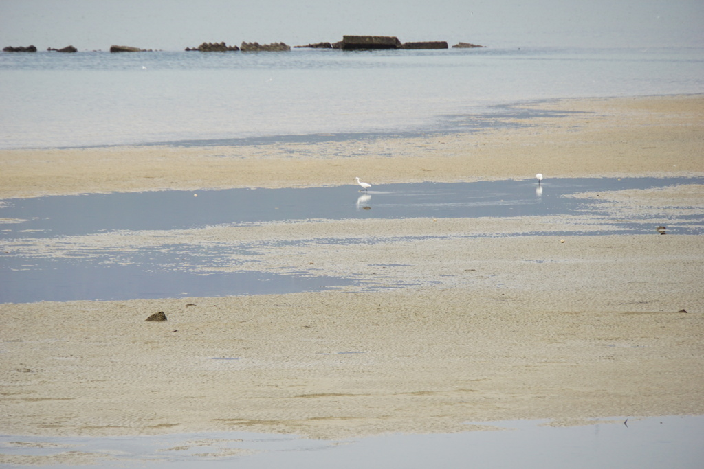 引き潮の浜辺