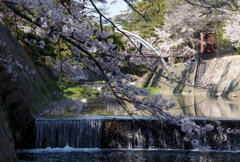 夙川・片鉾橋辺り