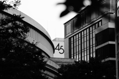 遙かな45