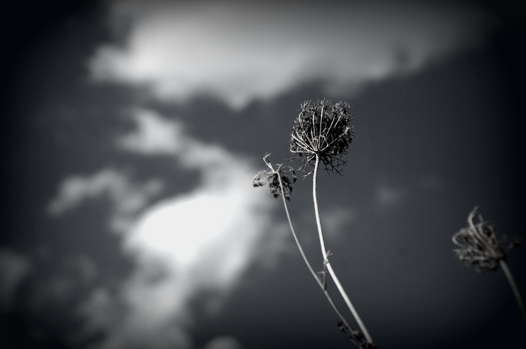 Summer is Over (If you want it)