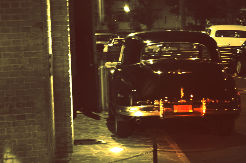 Stranger in the night
