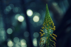 想い出のラストクリスマス