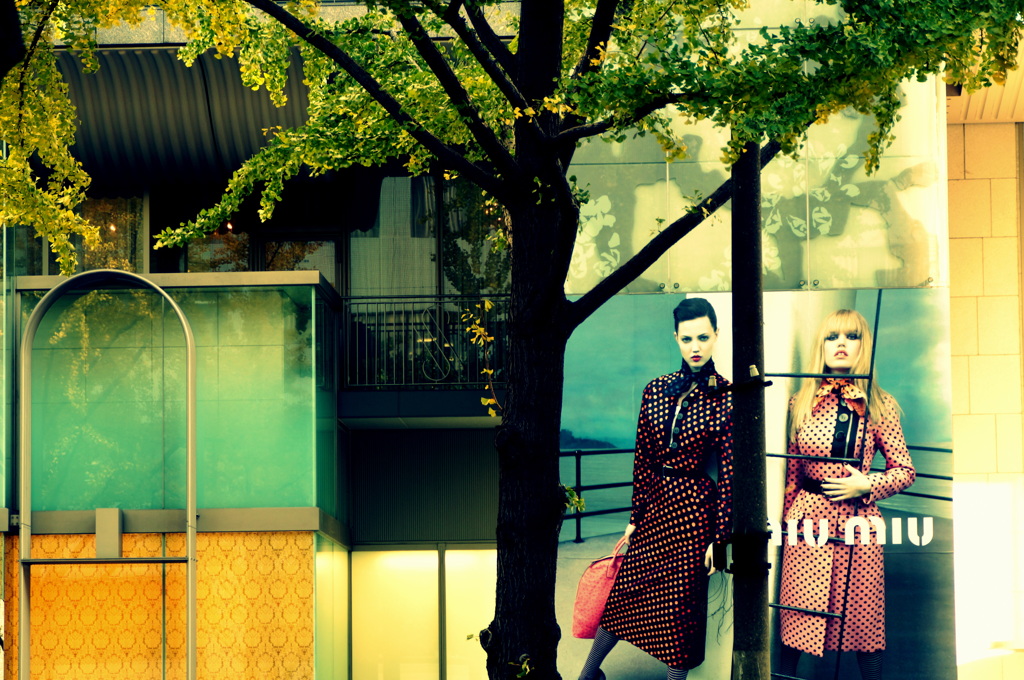 見つめていると見つめられた・・