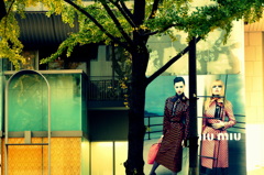 見つめていると見つめられた・・