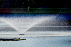 Bridge Over Spring Water