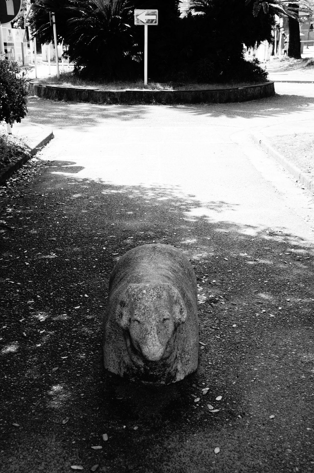 そーしゃるでぃすたんす