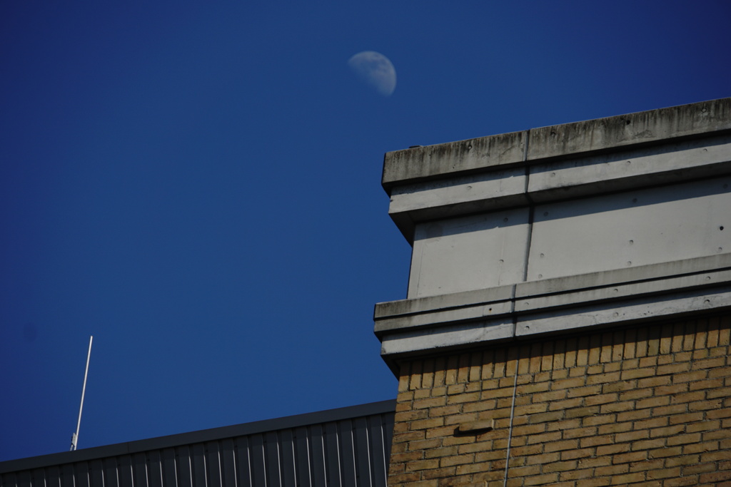 Afternoon Moon