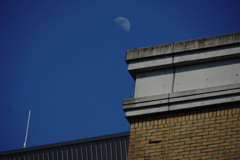 Afternoon Moon