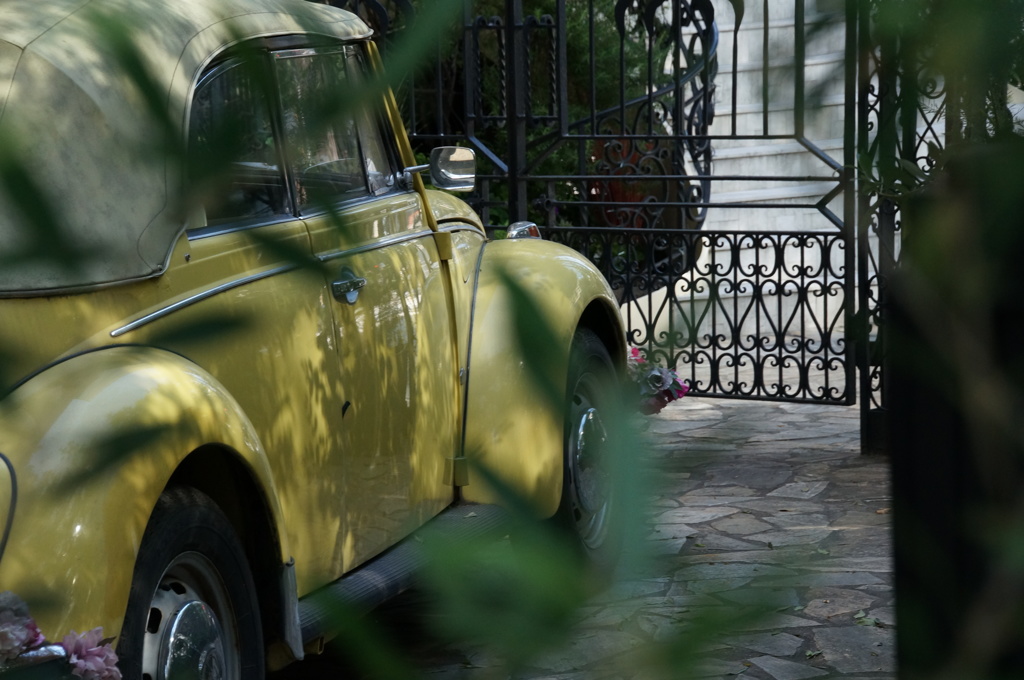 木漏れ日の中で