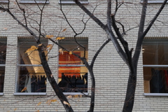 枯木と窓辺のアンサンブル