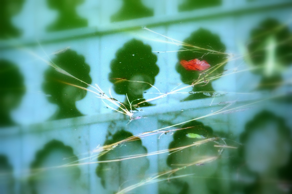 秋は木立を抜けて