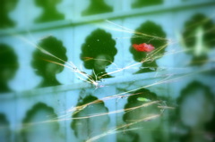 秋は木立を抜けて