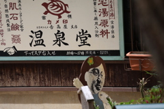 有馬のカメ