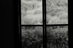 古い窓の記憶
