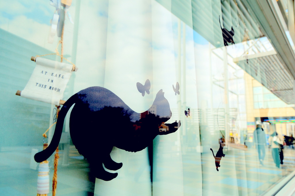 はるのねこねこのこねこ