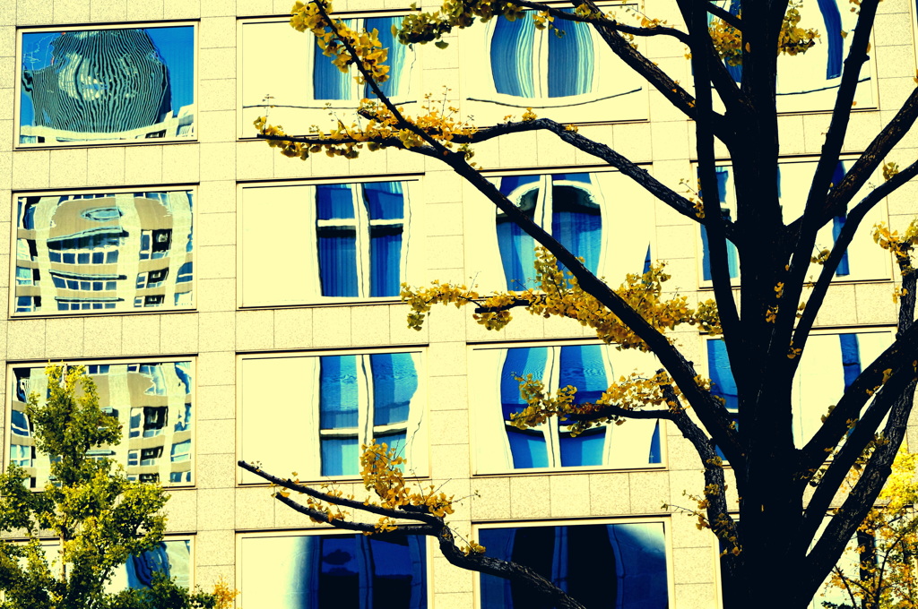 窓と窓と窓と窓と・・