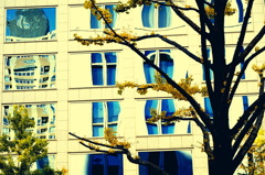 窓と窓と窓と窓と・・