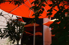 パラソルの赤