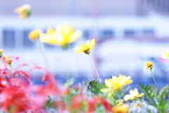 とにかく明るい春