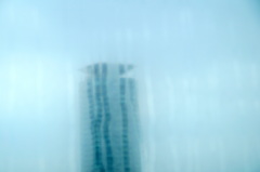 after the rain