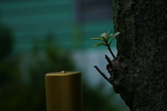 そんな時代もあったねと・・