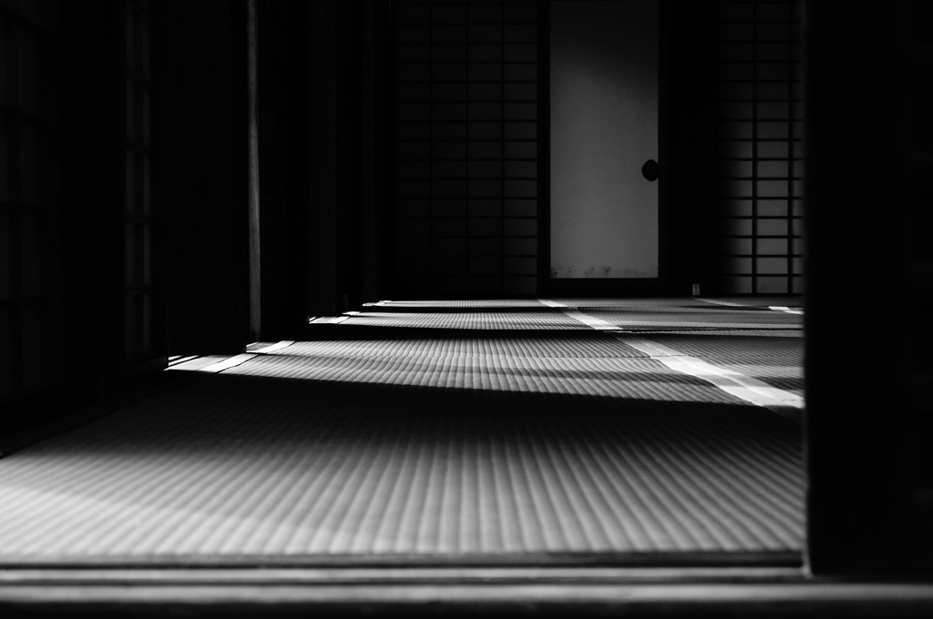 between light and shade