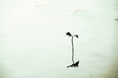 I stand alone